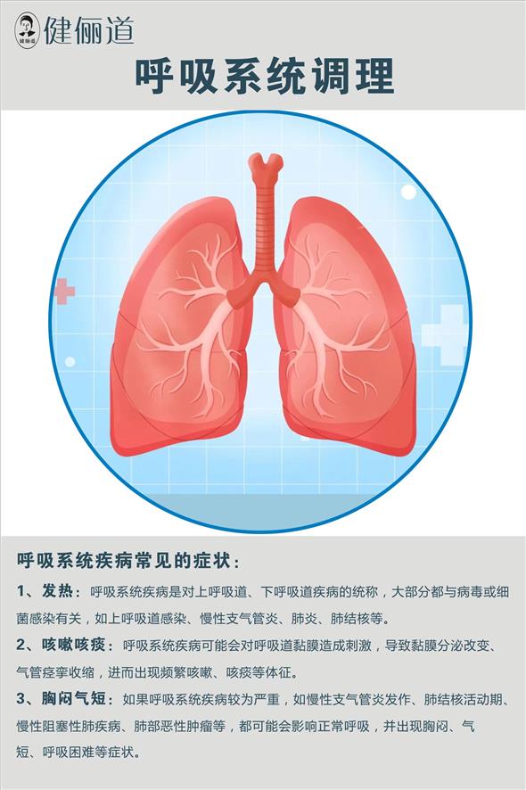 呼吸系统海报